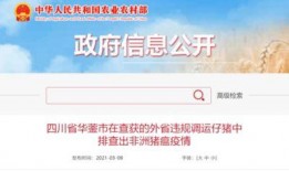 竹山农香最新爆料新闻报道,揭秘农产品背后的秘密与真相